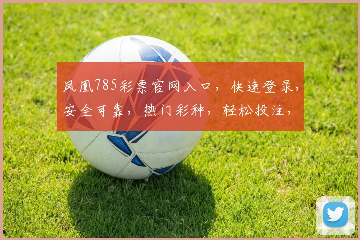 凤凰785彩票官网入口，快速登录，安全可靠，热门彩种，轻松投注，体验非凡