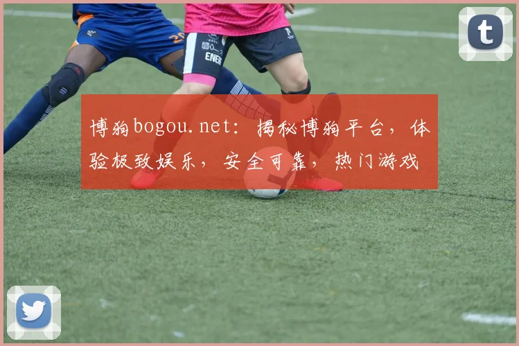 博狗bogou.net：揭秘博狗平台，体验极致娱乐，安全可靠，热门游戏一网打尽，尽在博狗官网