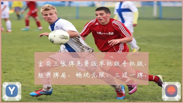 金花三张牌免费版单机版手机版，经典牌局，畅玩无限，三逗一牌，独家体验
